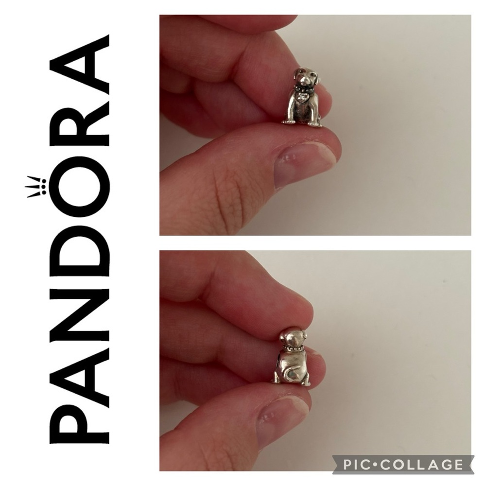 Labrador Dog Pandora Charm